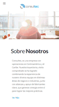 Mobile Screenshot of consultec-ti.com